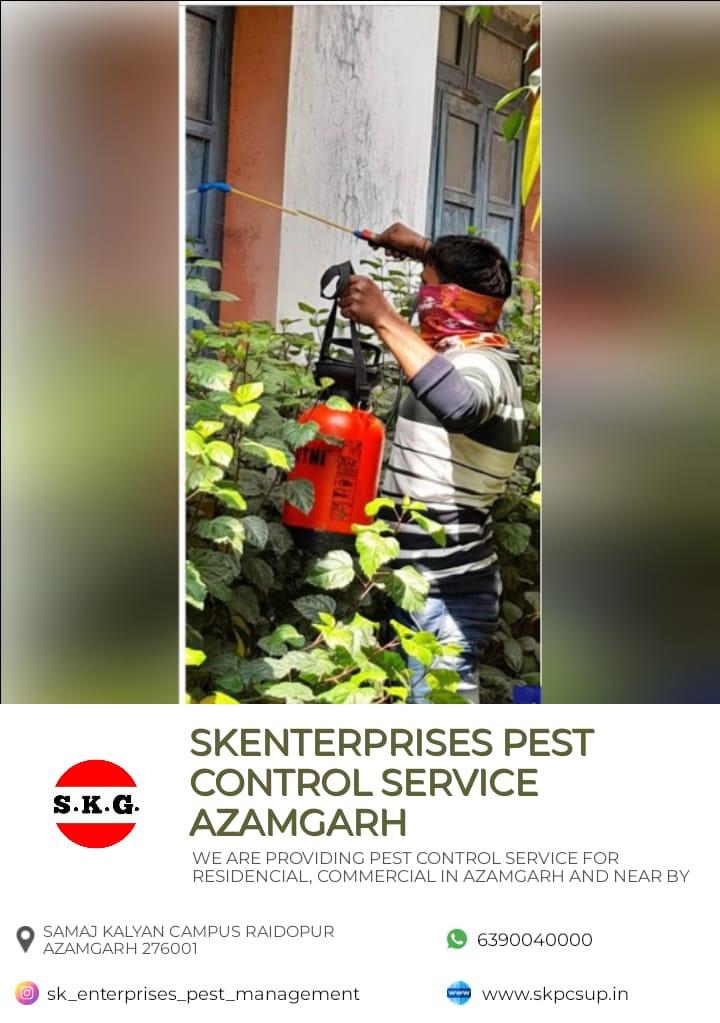 WhatsApp Image 2024-05-13 at 5.31.53 PM