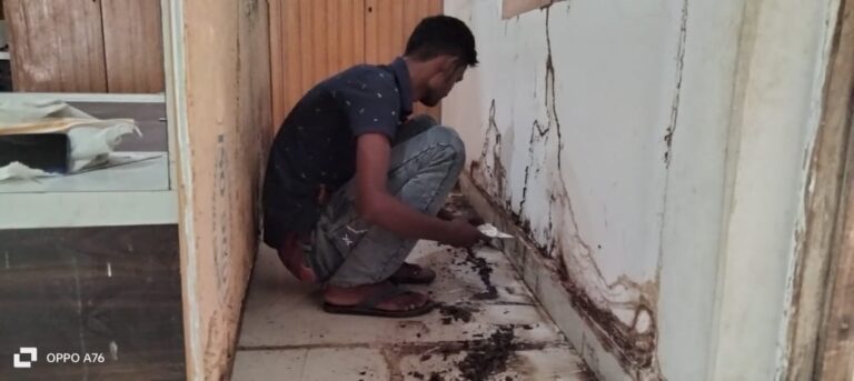 WhatsApp Image 2024-09-13 at 7.37.14 AM