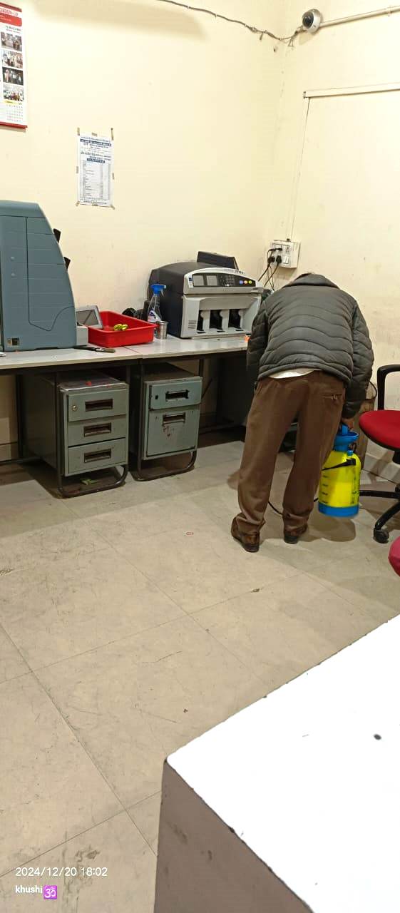 WhatsApp Image 2024-12-24 at 2.13.52 PM